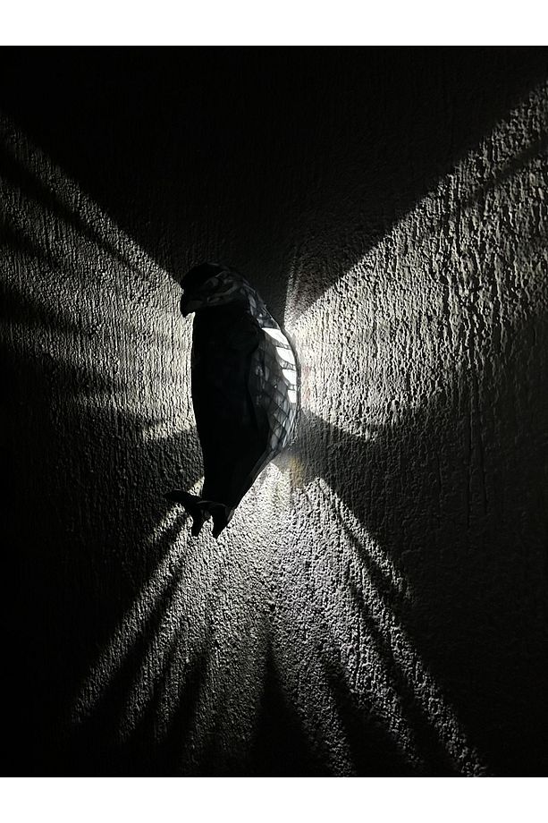 Kartal gece lambası - 1