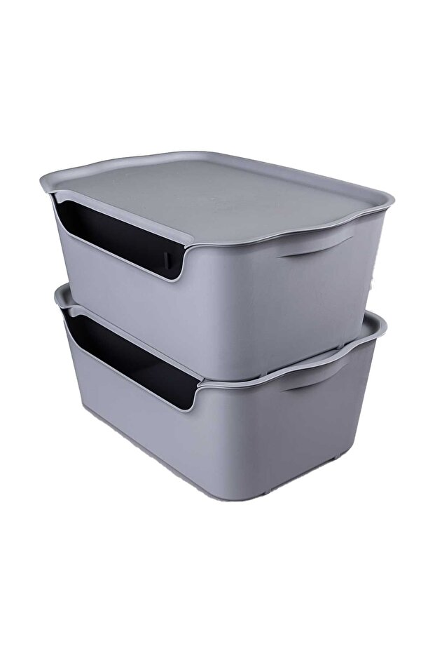 Gray 15 L Organize Box with Quat - Set of 2