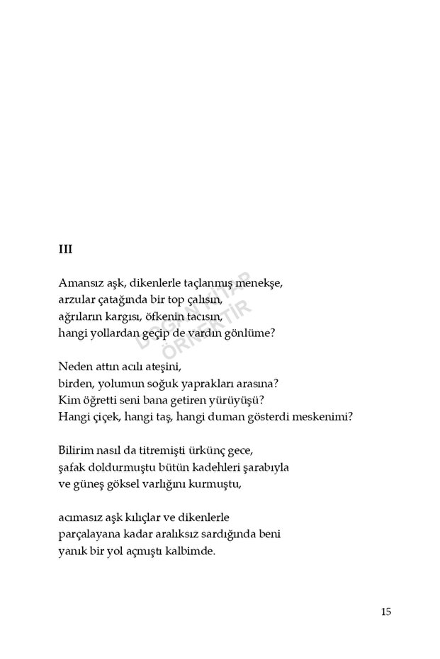 Yüz Aşk Sonesi - 7