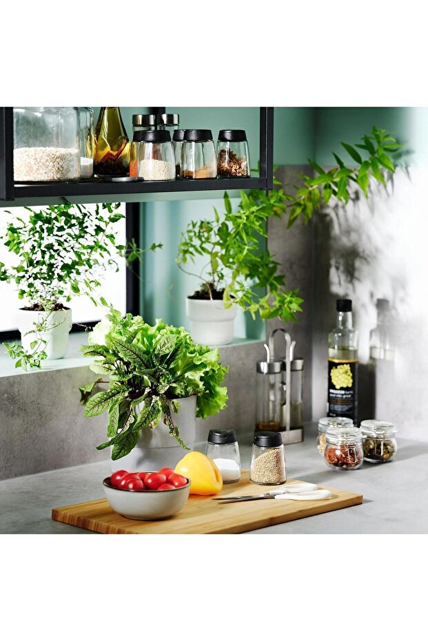 Baharatlık 4 Lü Set 15 Cl Cam - 3