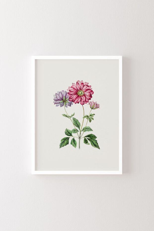 Flowers - White Frame - 1