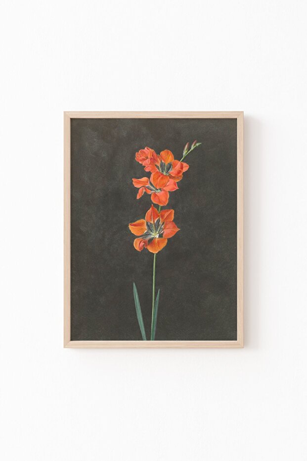 Lily - Wood Patterned Frame - 1