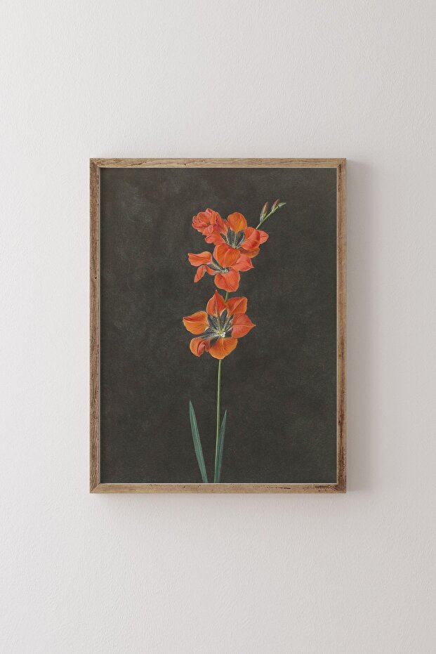 Lily - Wood Patterned Frame - 1