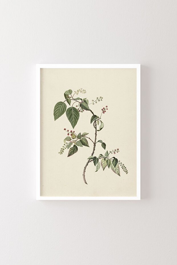 Çiçekler - Beyaz Çerçeve - 1