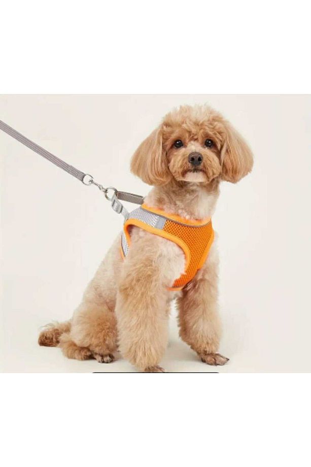 Yansıtıcı Şeritli Yumuşak Örgü Evcil Hayvan Koşum Takımı, Rahat Köpek Yeleği ,4 metrelik Tasma - 1
