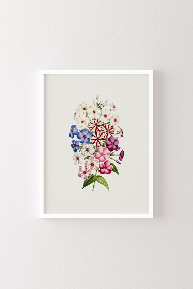 Flowers - White Frame - 1