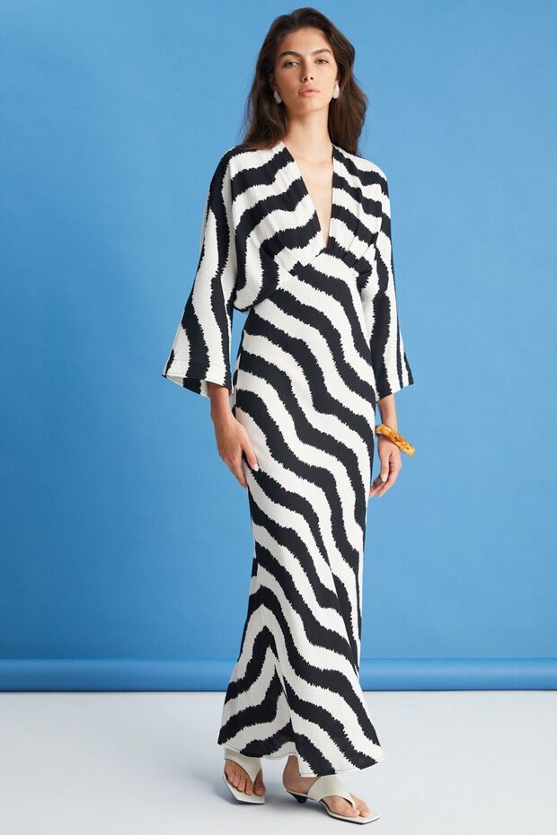 Zebra Desenli Elbise - 4