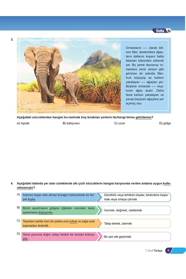 2026 7. Sınıf BAL Türkçe Soru Bankası | Müslüm DANAOĞLU - 7