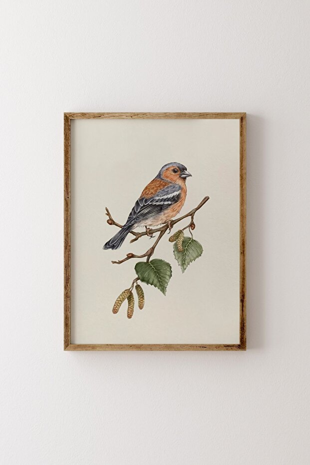 Bird Drawing - Wooden Patterned Frame