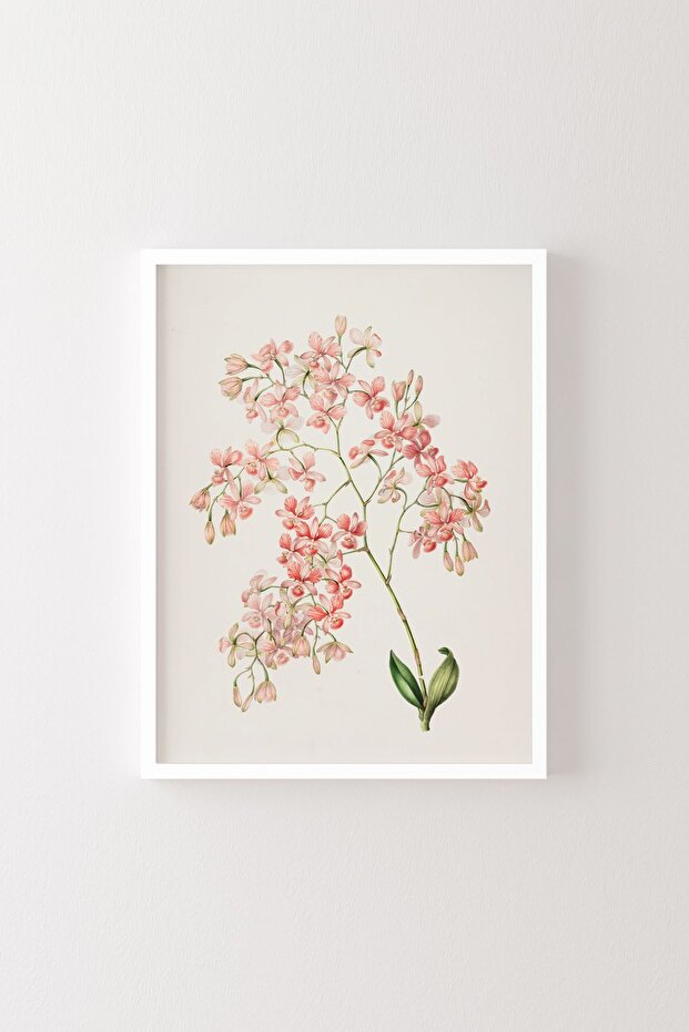 Çiçekler - Beyaz Çerçeve - 1