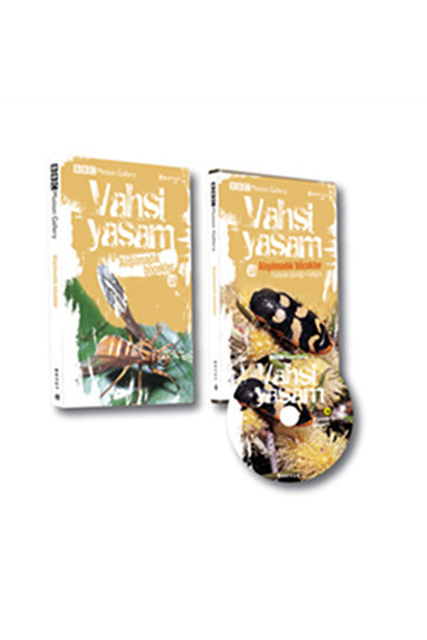 Vahşi Yaşam 2/ Alışılmadık Böcekler
