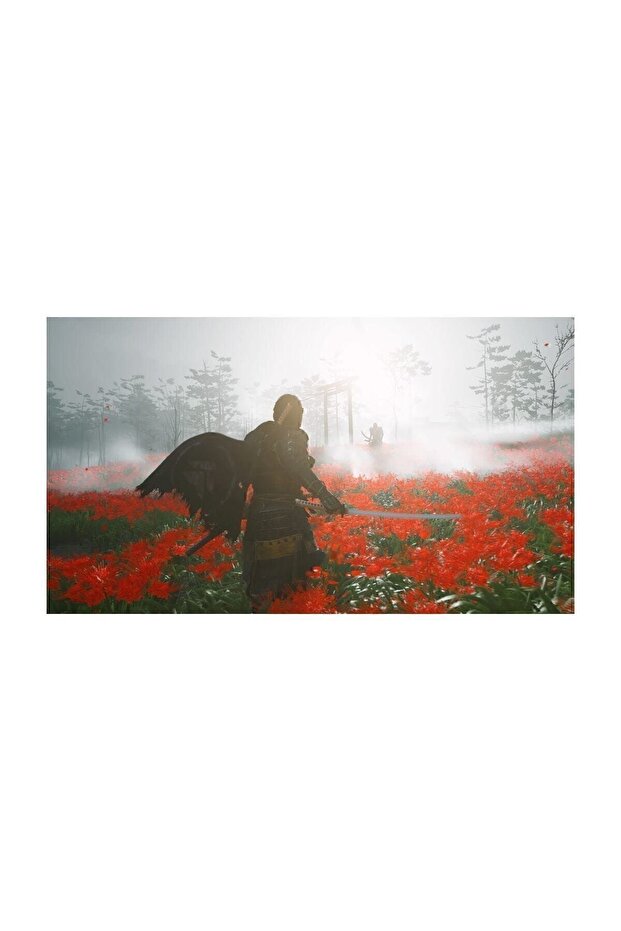 Ps4 Ghost Of Tsushima - 6