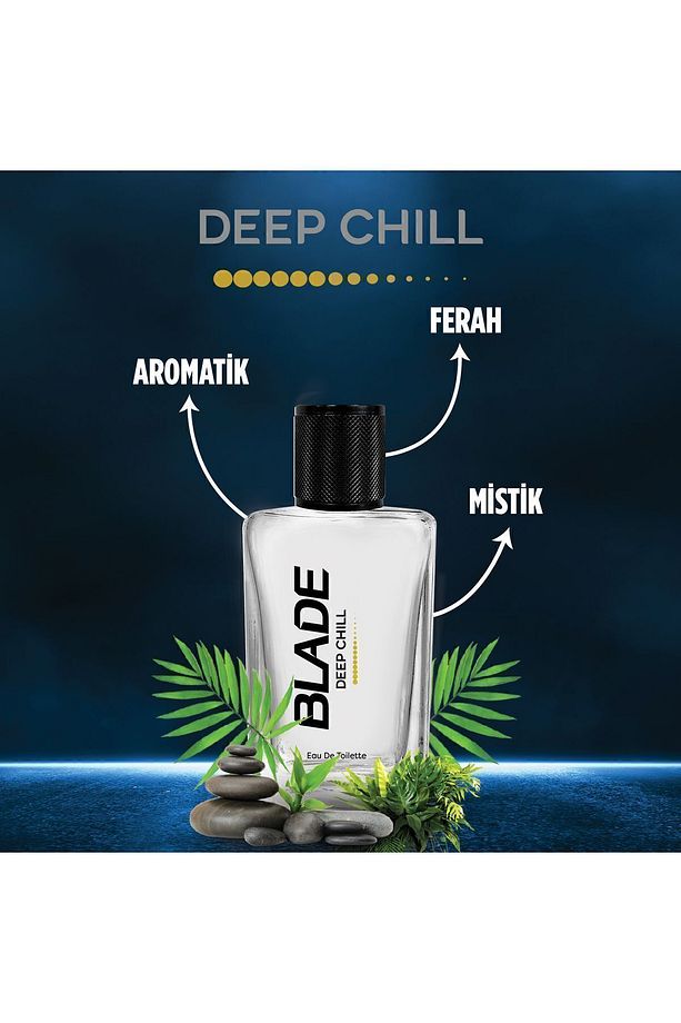 Deep Chill Edt Erkek Parfüm 70 ml - 3