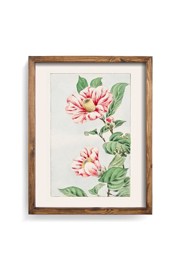 Japanese Camellia - Wooden Patterned Frame