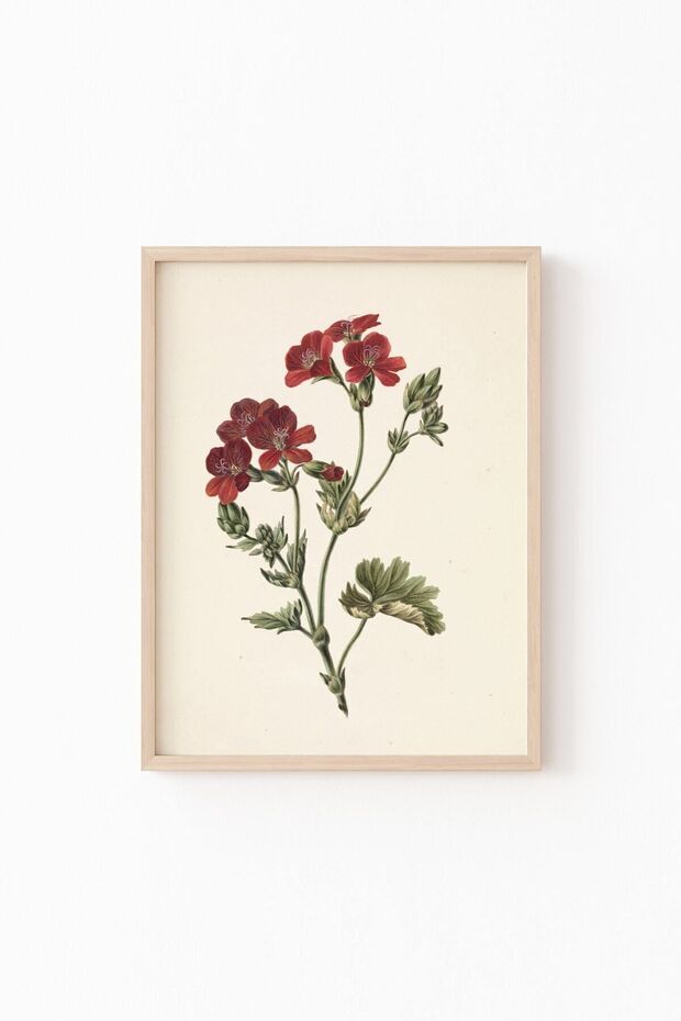 Kırmızı Çiçekler - Ahşap Desenli Çerçeve - 1