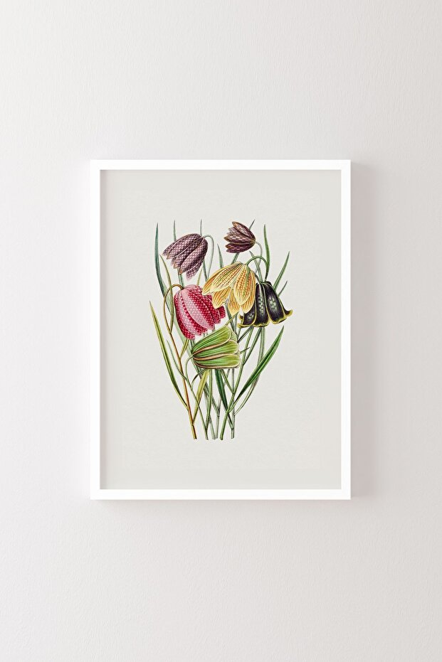 Flowers - White Frame