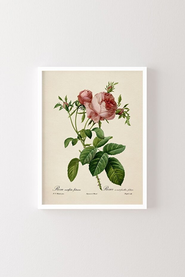 Flowers - White Frame