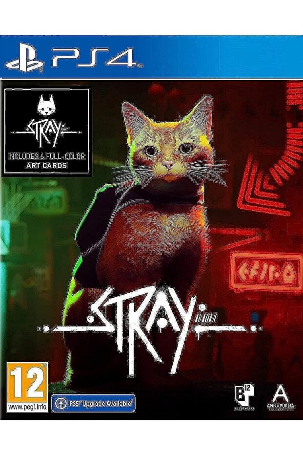 Stray Ps4 Oyun - 1