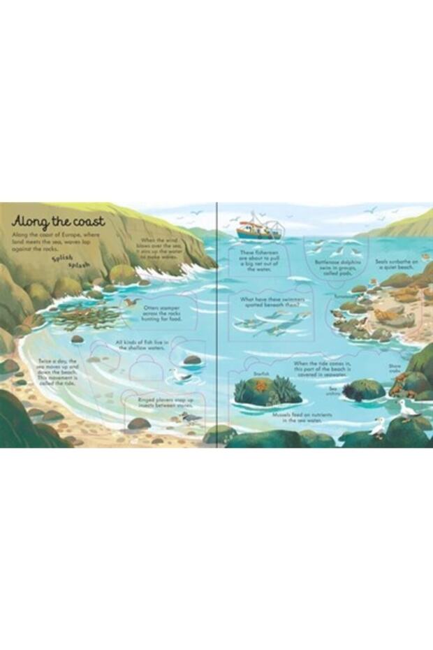 Look Inside Seas And Oceans - 2