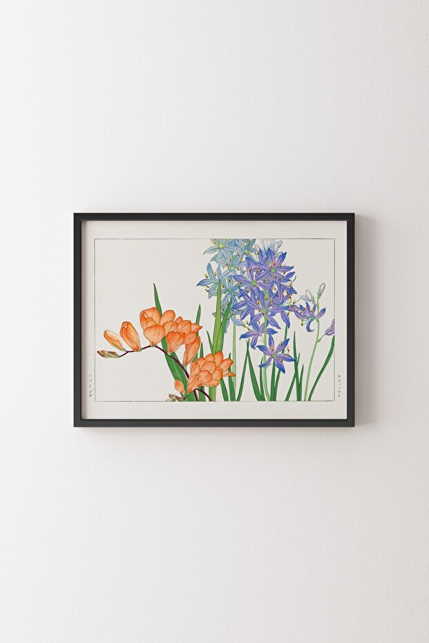 Freesia Flower - Black Frame