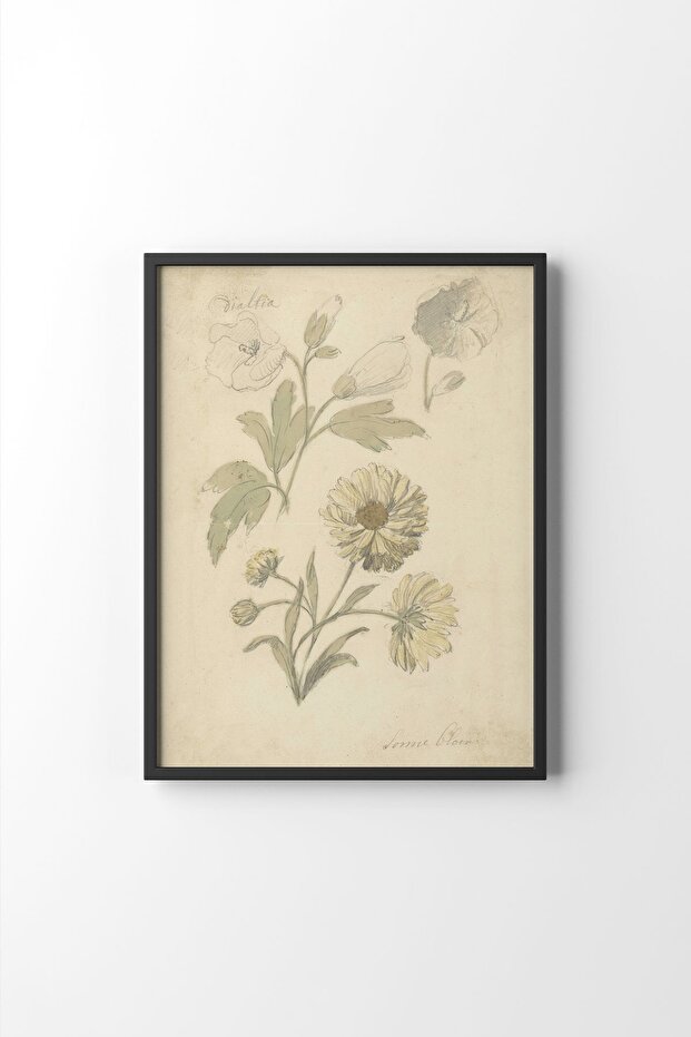 Flowers - Black Frame - 1