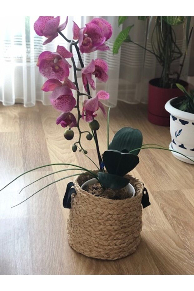 Agnes Deri Kulplu Sepet - 3