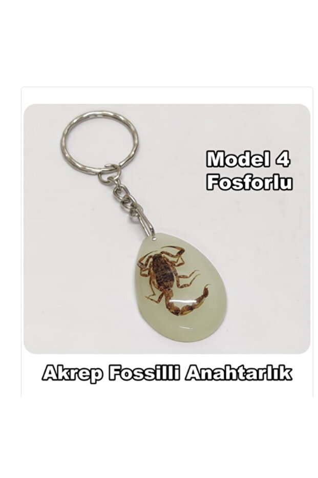 Akrep fosilli anahtarlık fosforlu gerçek akrep fosili olan anahtarlık hediyelik akrep anahtar - 2