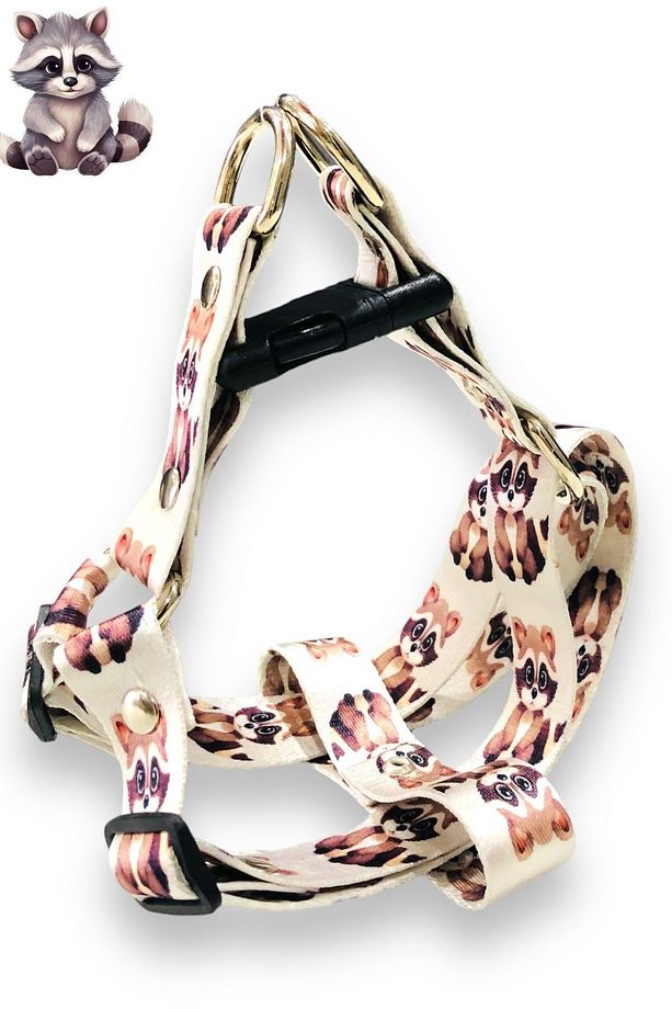 Köpek Tasması ( Göğüs Tasması ) Gezdirme Kayışı Set - 2