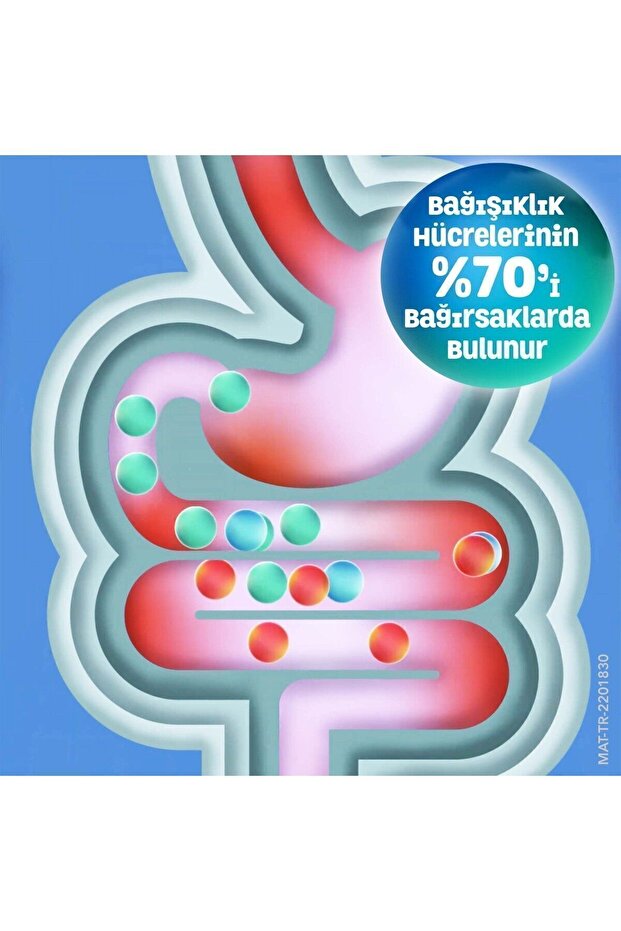 Yetişkin 5 ml 10 Flakon - 4