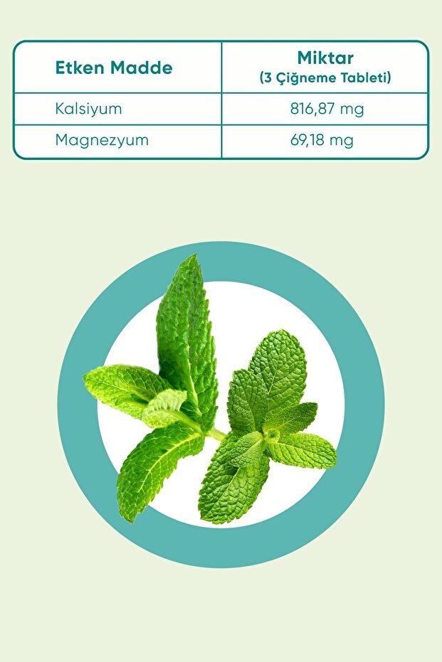 Mint 80 Çiğneme Tableti - 3