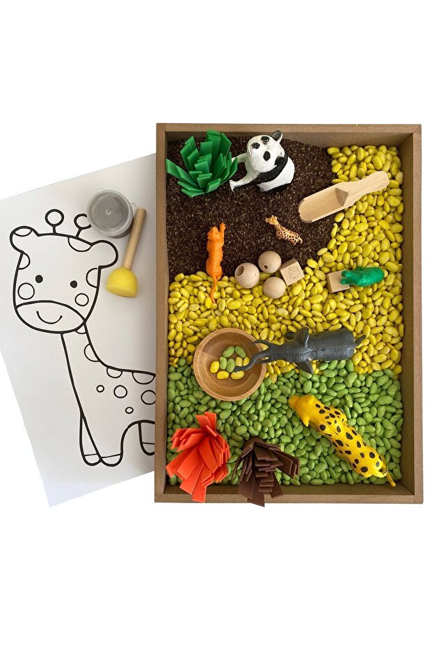 Wooden Activity Set - Montessori Toy