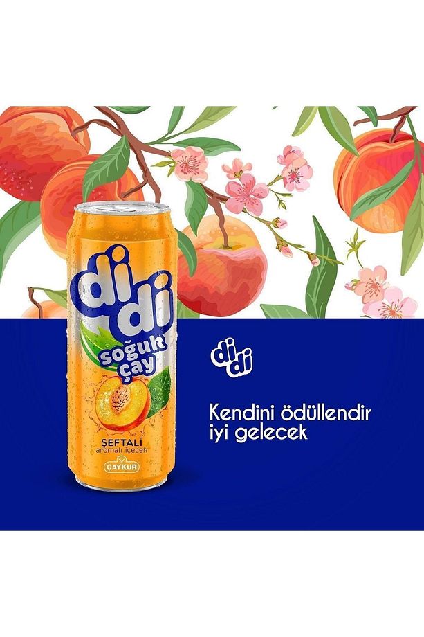 Didi Hepsibir Paketi Bergamot + Limon + Şeftali Soğuk Çay 330 Ml X 18 Adet - 7