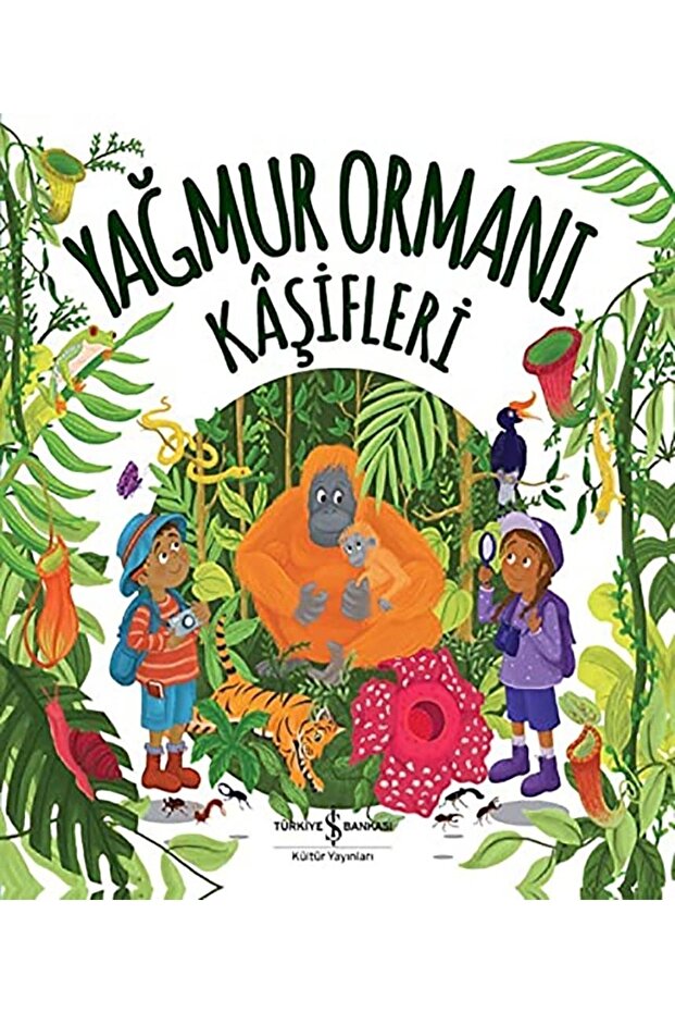 Yağmur Ormanı Kâşifleri