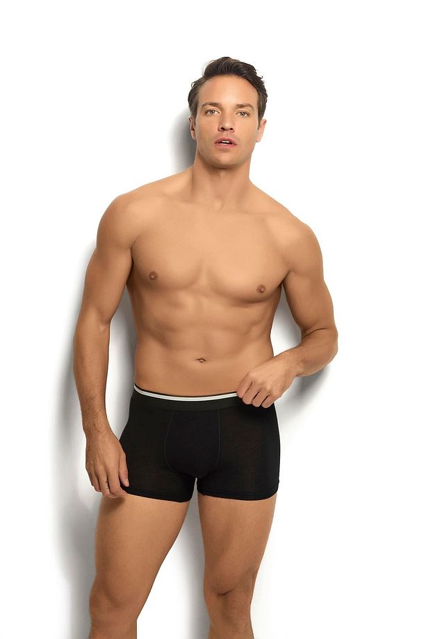 JİBER Micro Modal 3'lü Asorti Boxer 243 - %93 Mikromodal %7 Elestan - 3