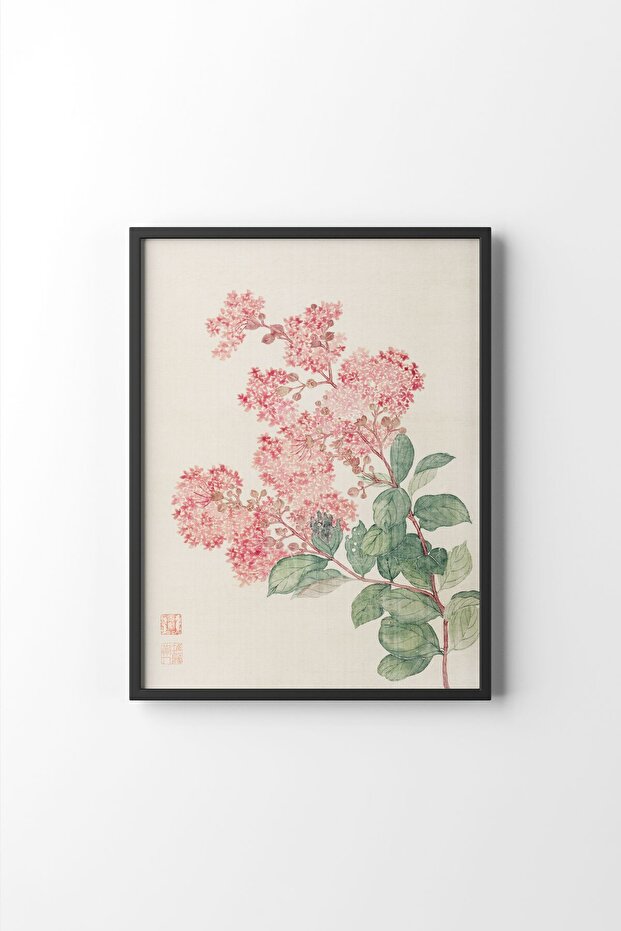 Hydrangea - Siyah Çerçeve - 1