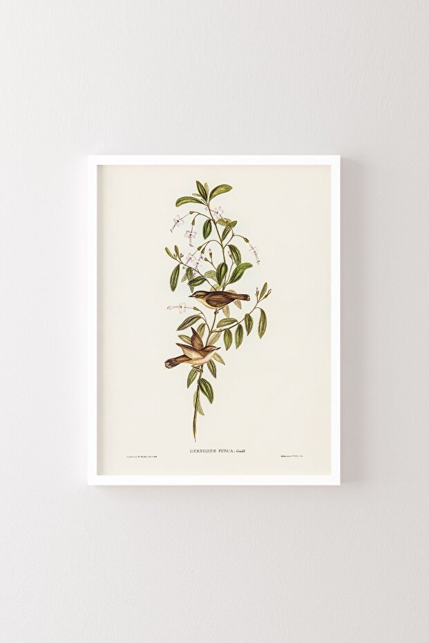 White Frame - Bird Branch