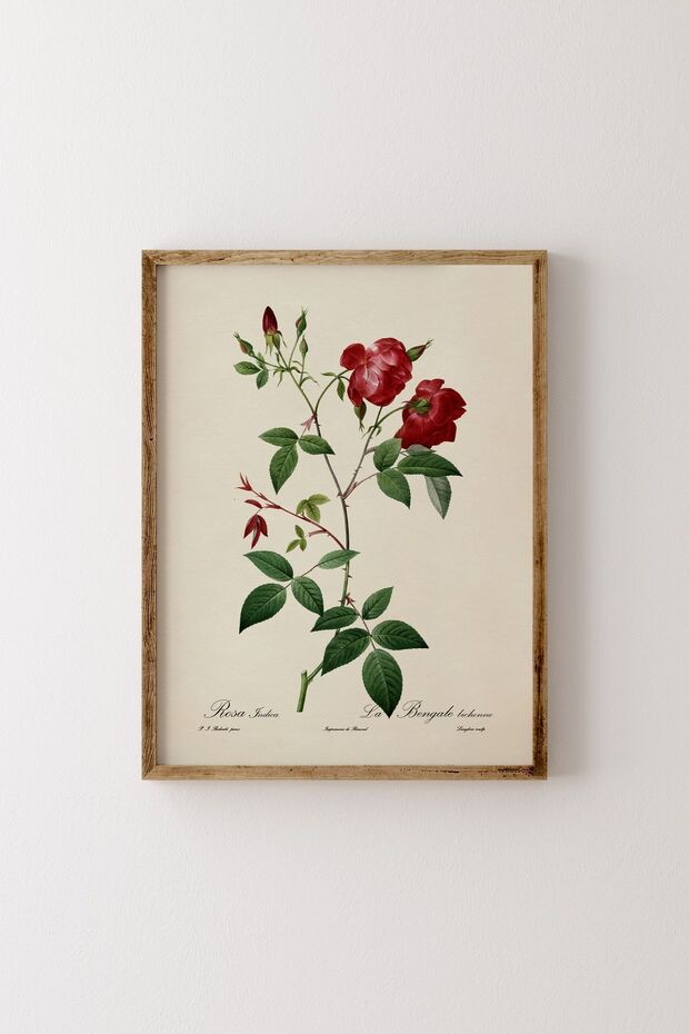 Flowers - Wooden Patterned Frame