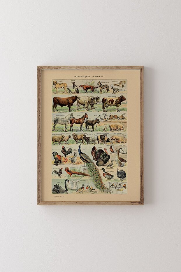 Domestiques - Ahşap Desenli Çerçeve - 1