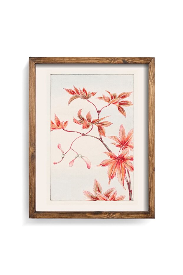 Momiji Maple - إطار خشبي منقوش
