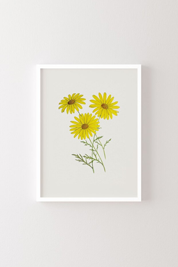 Flowers - White Frame - 1