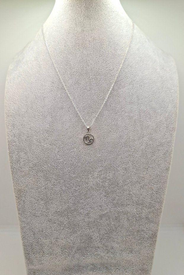 Silver Color Capricorn Sign Model Necklace