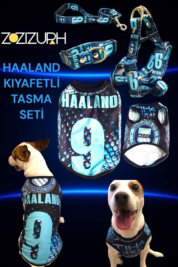 Köpek Kıyafeti Köpek Tasması Seti Köpek Göğüs Tasması Köpek Boyun Tasması Köpek Gezdirme - 8