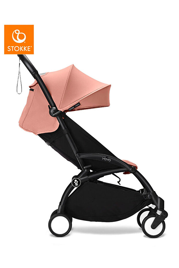 6+ renk paketi - Ginger - 4