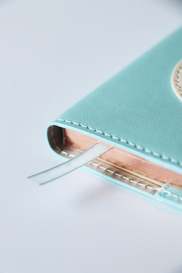 Geçmeli Kedili Defter A6 96 yaprak - 4