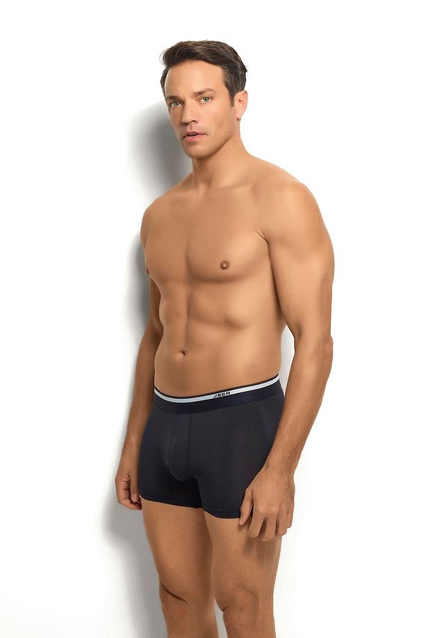 JİBER Micro Modal 3'lü Asorti Boxer 243 - %93 Mikromodal %7 Elestan - 5