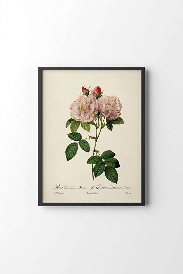 Çiçekler - Siyah Çerçeve - 1