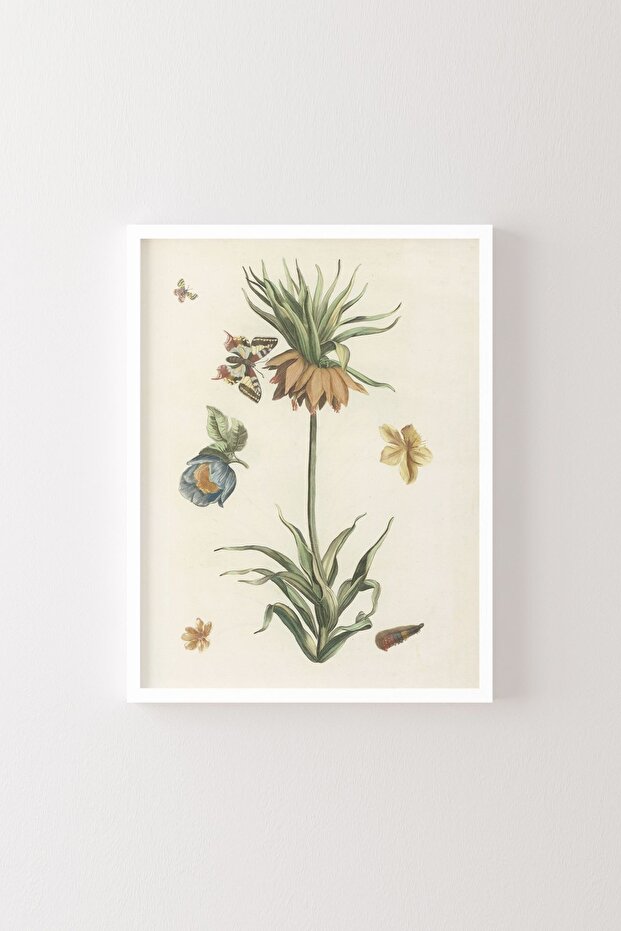White Frame - Imperial Crown, Butterfly and Caterpillar