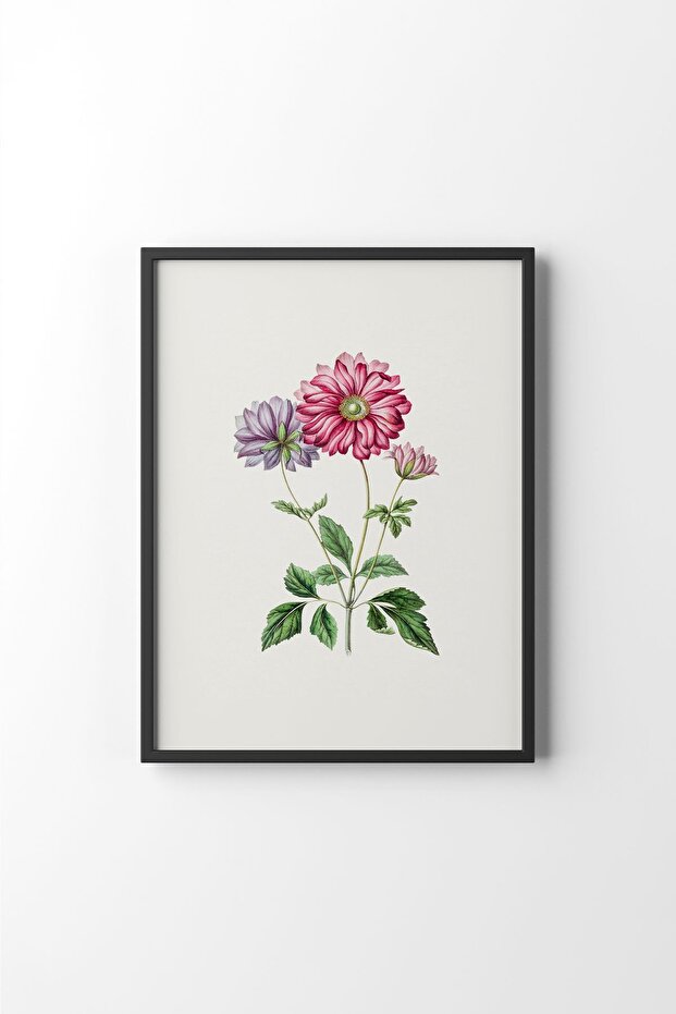 Flowers - Black Frame