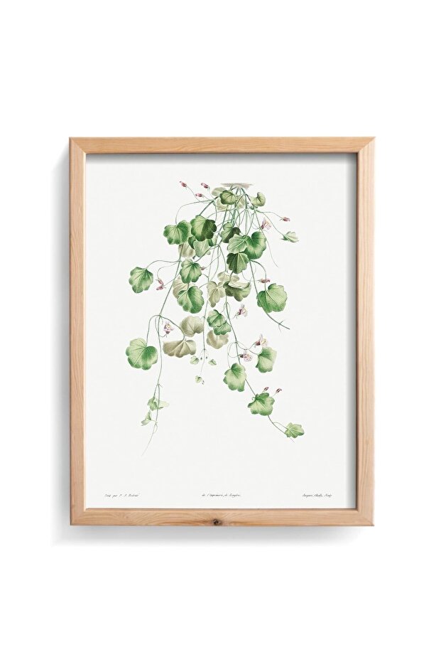 Engraving Vine - Wooden Patterned Frame