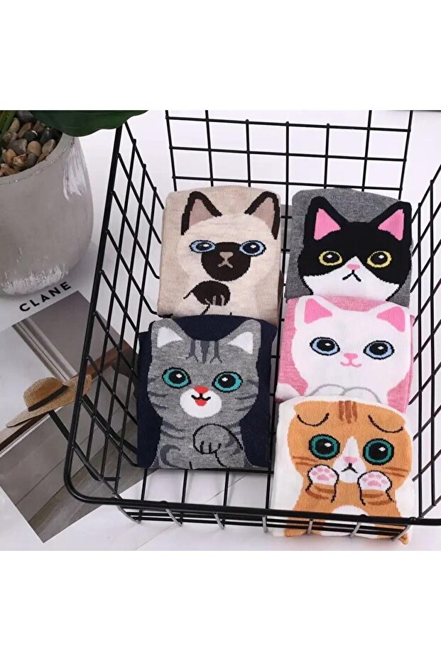 5 Pack Cute Cat Patterned Booties Socks - 5